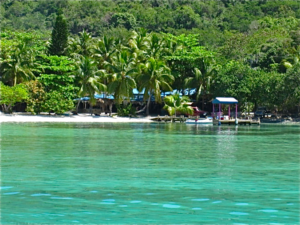 The Virgin Islands, Foxy's, Jost Van Dyke