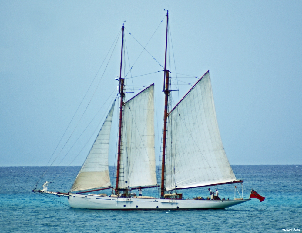 Regatta Racing Yacht Classic Sailing Charter