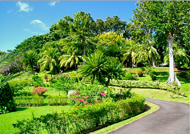 St. Vincent and the Grenadines Botanic Gardens