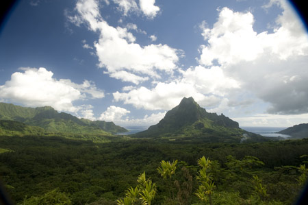 The South Pacific Yacht Charter Belvedere Lookout Point, Moorea