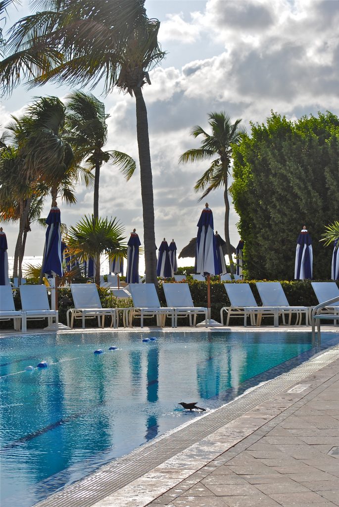 The Ocean Reef Club Luxury Crewed Charter Yacht Destination Florida Keys Pool