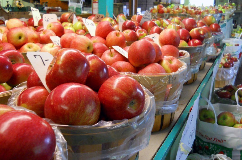 Jamestown, Rhode Island, apples