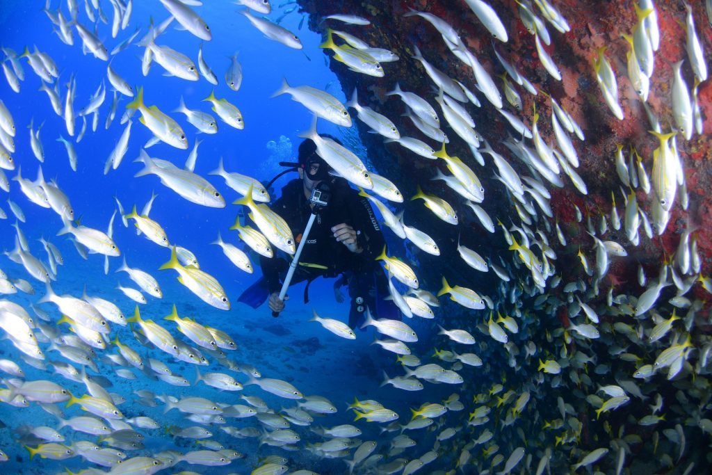 Shipwreck Diving