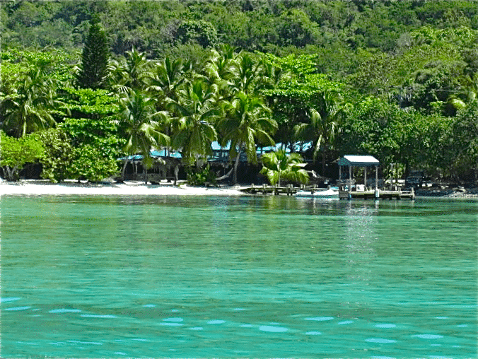 Foxy's, Jost Van Dyke