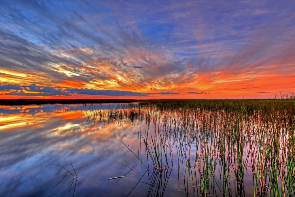 Explore the Everglades in the Florida Keys.