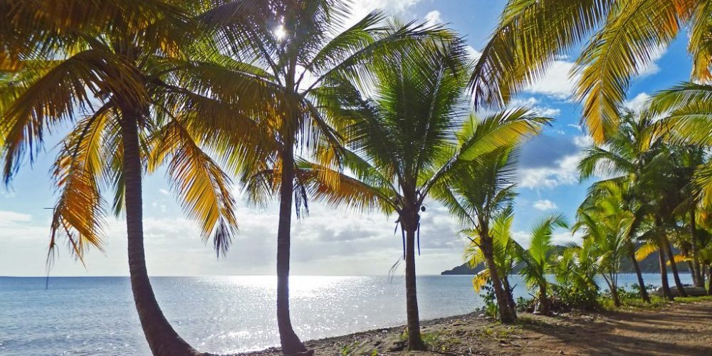 Dominica luxury yacht charter Caribbean